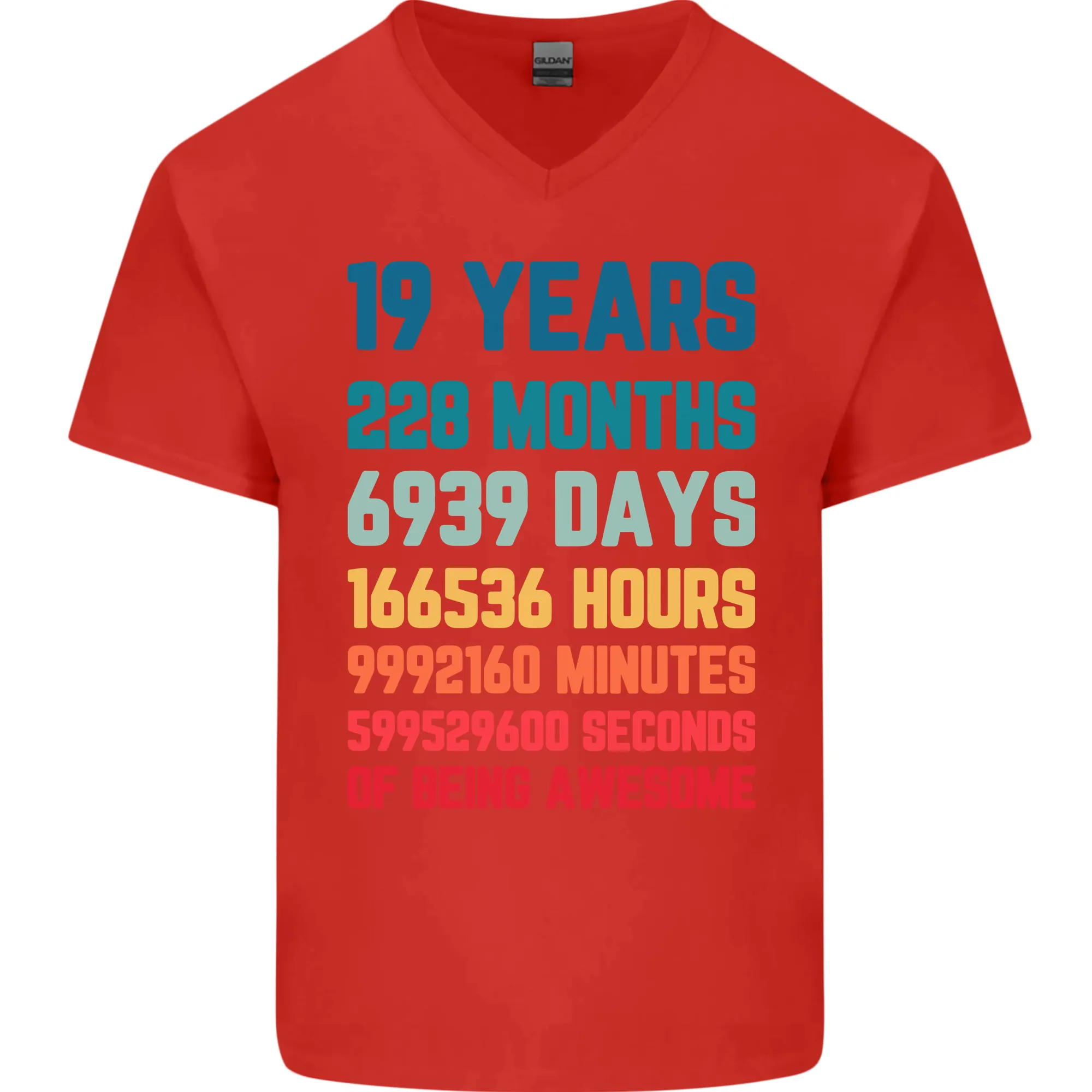 19th Birthday 19 Year Old Mens V-Neck Cotton T-Shirt