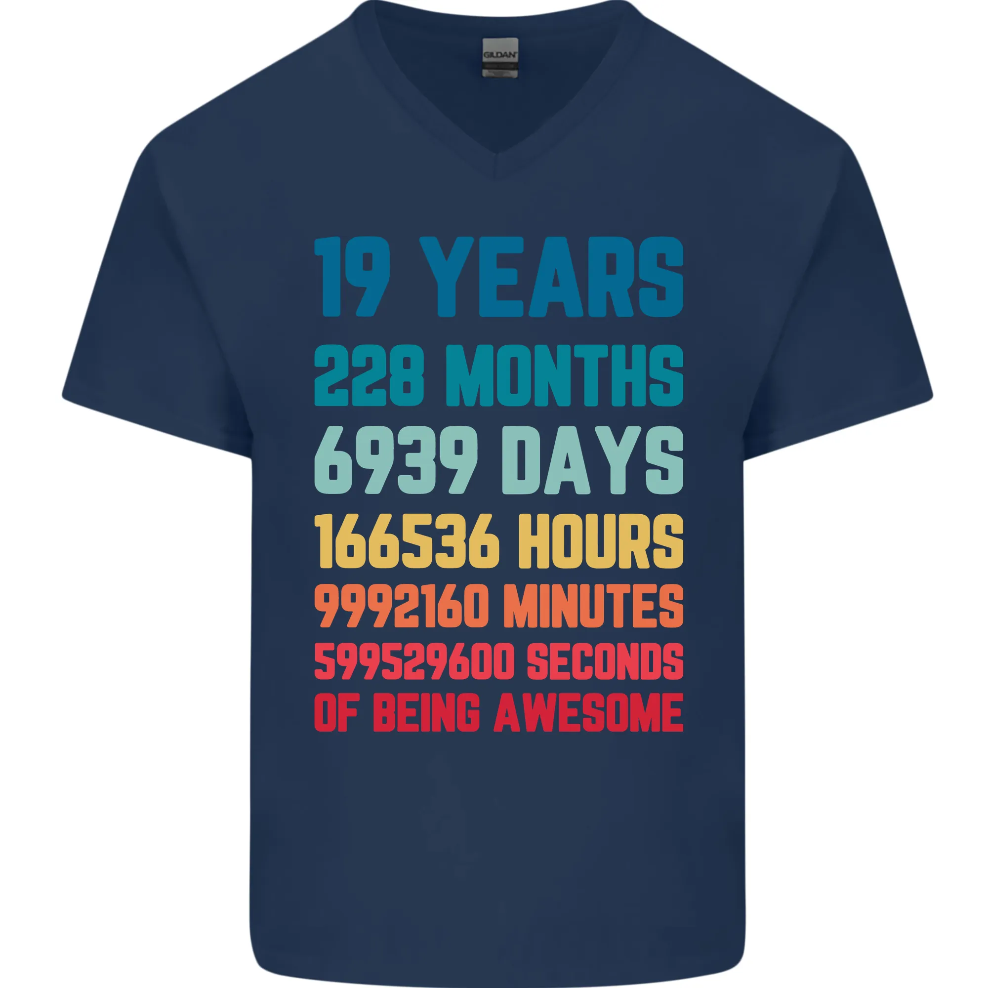 19th Birthday 19 Year Old Mens V-Neck Cotton T-Shirt