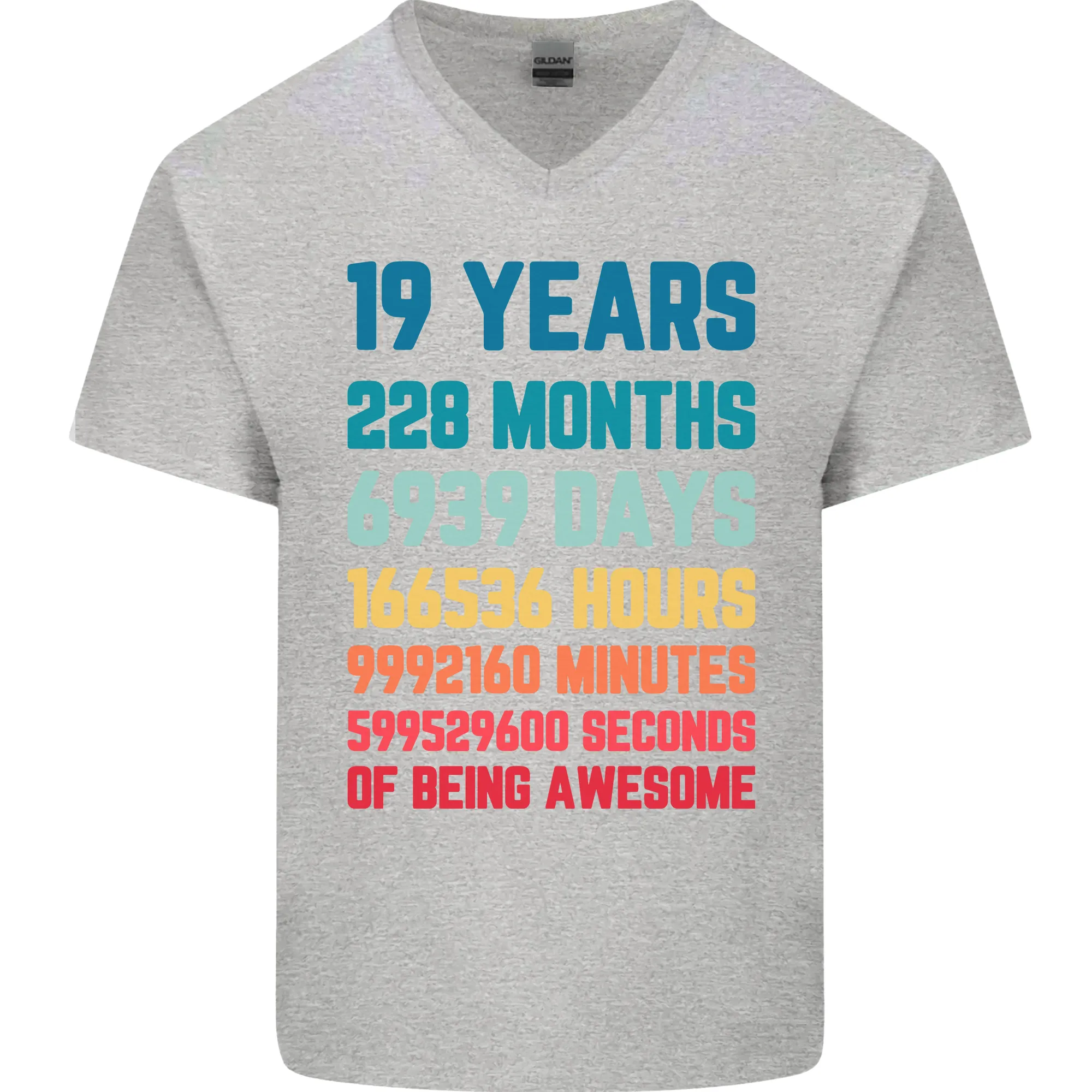 19th Birthday 19 Year Old Mens V-Neck Cotton T-Shirt