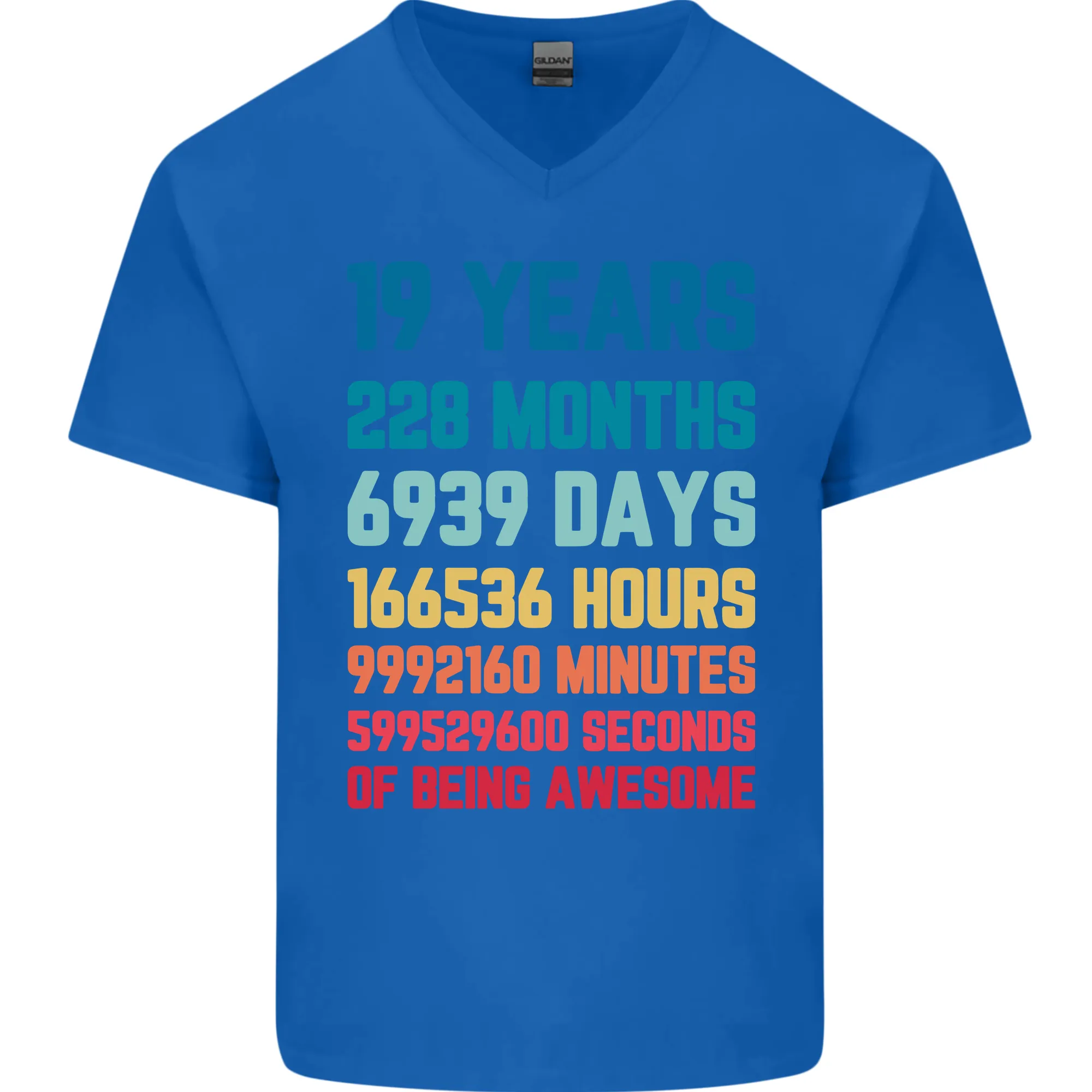 19th Birthday 19 Year Old Mens V-Neck Cotton T-Shirt