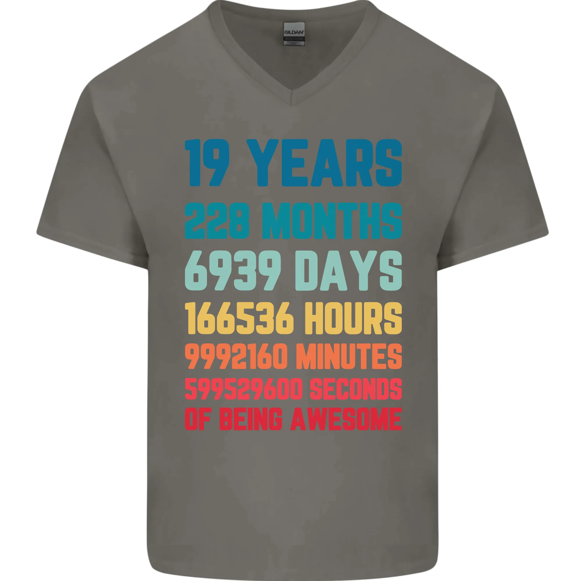 19th Birthday 19 Year Old Mens V-Neck Cotton T-Shirt