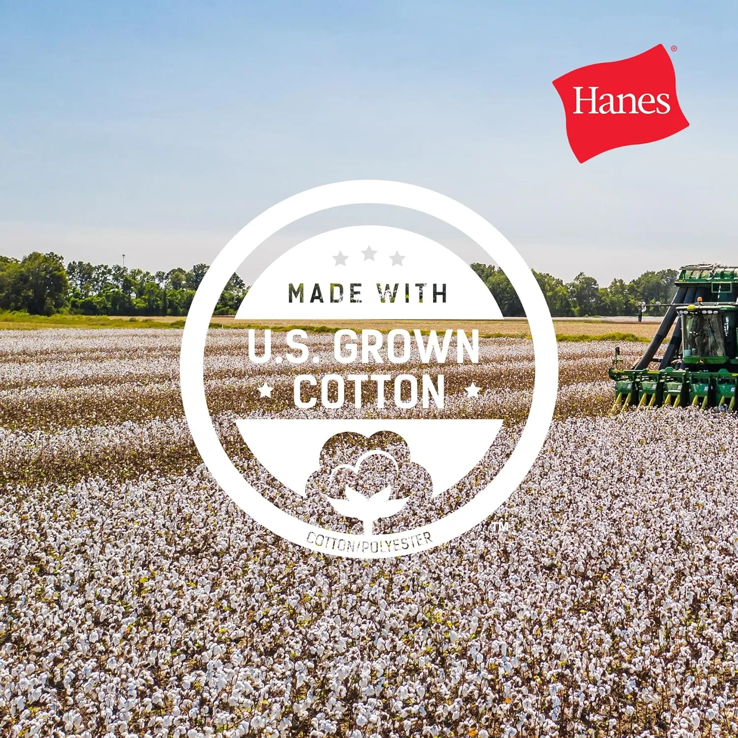 Hanes Men's Beefy-t T-Shirt, Heavyweight Cotton Tee, 1 Or 2 Pack, Big & Tall